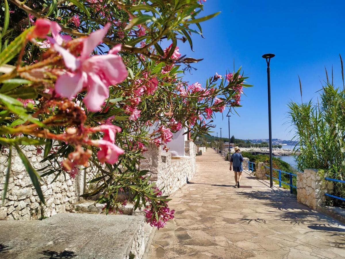 Marina Di Andrano - Alisso, Casa Vista Mare Con Parcheggio Privato E Wifi Vila Exterior foto