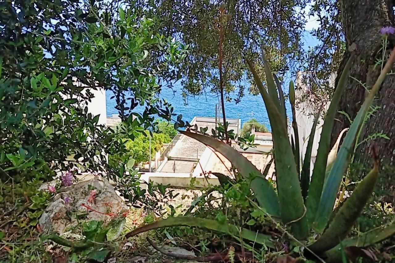 Marina Di Andrano - Alisso, Casa Vista Mare Con Parcheggio Privato E Wifi Vila Exterior foto